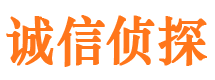 肥东市调查公司